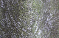 Little Leigh fibreglass roof work